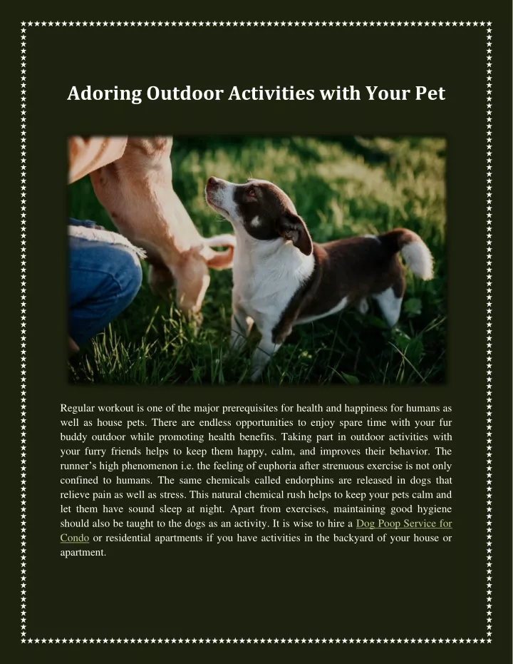 adoring outdoor activities with your pet