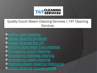 quality couch steam cleaning services