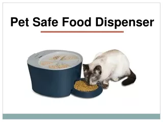 Pet Safe Food Dispenser