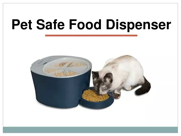 pet safe food dispenser