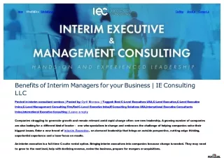 Boost You Business - Hire The Best Interim CEO - IE Consulting LLC