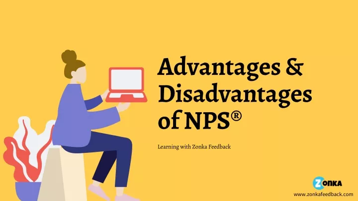 advantages disadvantages of nps
