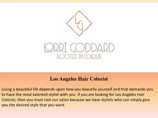 Los Angeles Hair Colorist
