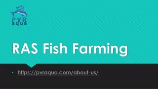 ras fish farming