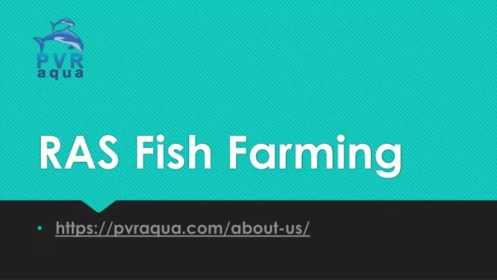 ras fish farming