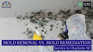 Mold Removal vs. Mold Remediation Service in Charlotte NC