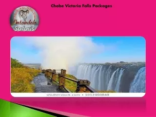 Chobe Victoria Falls Packages