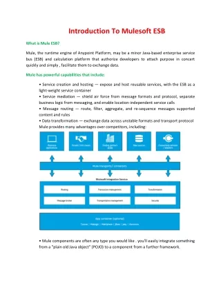 introduction to mulesoft esb