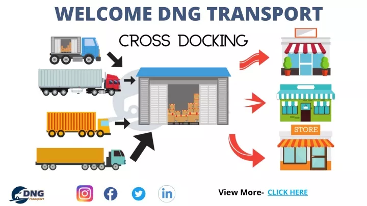 welcome dng transport