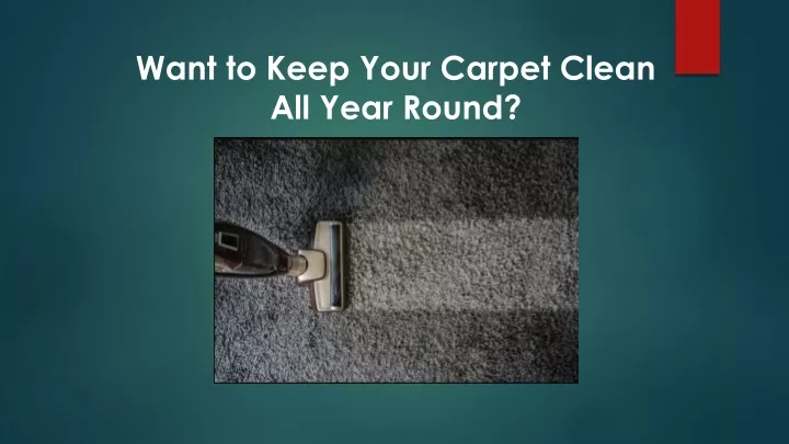 want to keep your carpet clean all year round