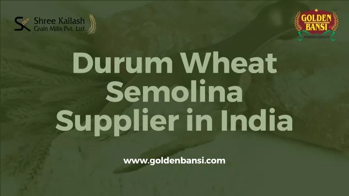 durum wheat semolina supplier in india