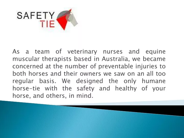 as a team of veterinary nurses and equine
