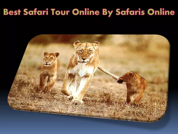 best safari tour online by safaris online