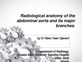 Radiological anatomy of the Abdominal aorta and its branches