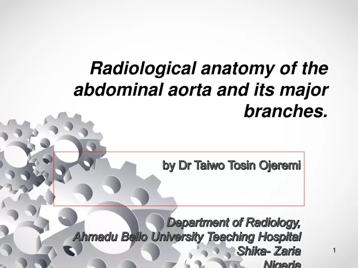 radiological anatomy of the abdominal aorta and its major branches
