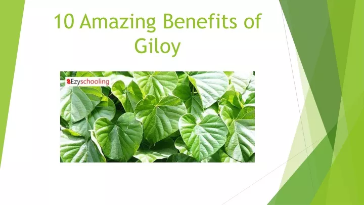 10 amazing benefits of giloy