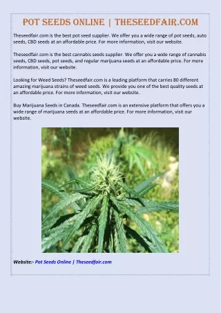 pot seeds online theseedfair com