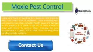 moxie moxie pest control pest control