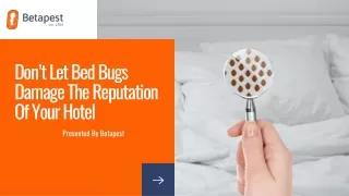Don’t Let Bed Bugs Damage The Reputation Of Your Hotel