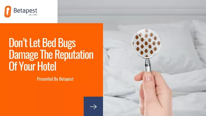 don t let bed bugs damage the reputation of your