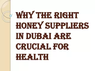 Honey Suppliers in Dubai and the Health Benefits of Honey