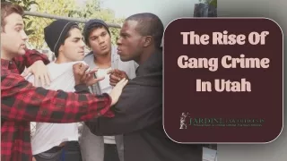 The Rise Of Gang Crime In Utah