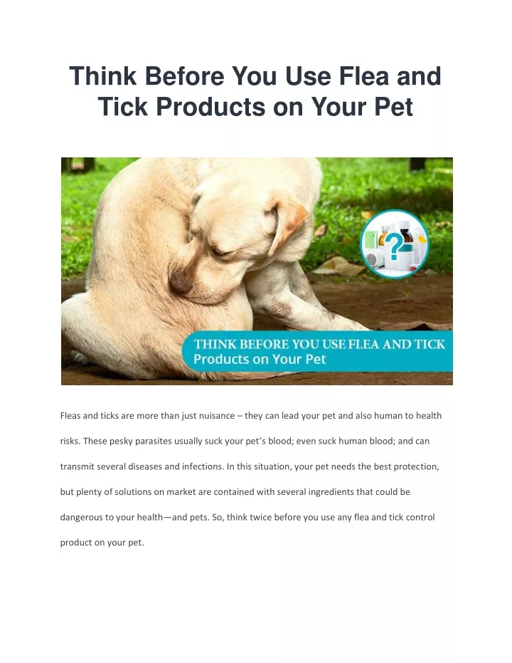 think before you use flea and tick products