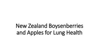 Boysenberry Powder for Lung Health