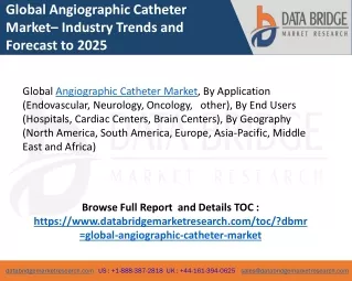 global angiographic catheter market industry