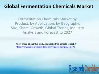 Fermentation Chemicals Market by Product, by Application, by Geography, Size, Share, Growth, Global Trends, Industry Ana