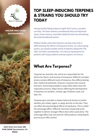 TOP SLEEP-INDUCING TERPENES & STRAINS YOU SHOULD TRY TODAY