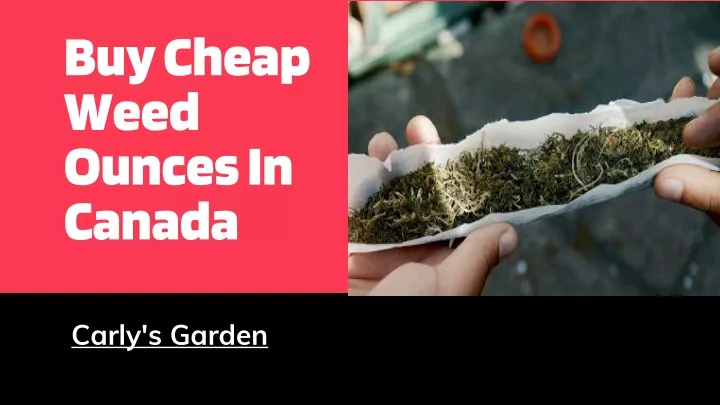 buy cheap weed ounces in canada