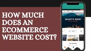 How Much Does an eCommerce Website Cost