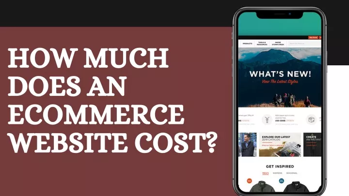 how much does an ecommerce website cost