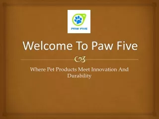 Buy Dog Harness Online at Best Price | Paw-five