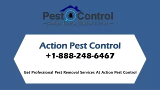 action pest control 1 888 248 6467