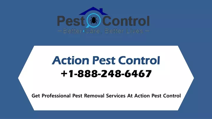 action pest control 1 888 248 6467