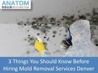 3 things you should know before hiring mold