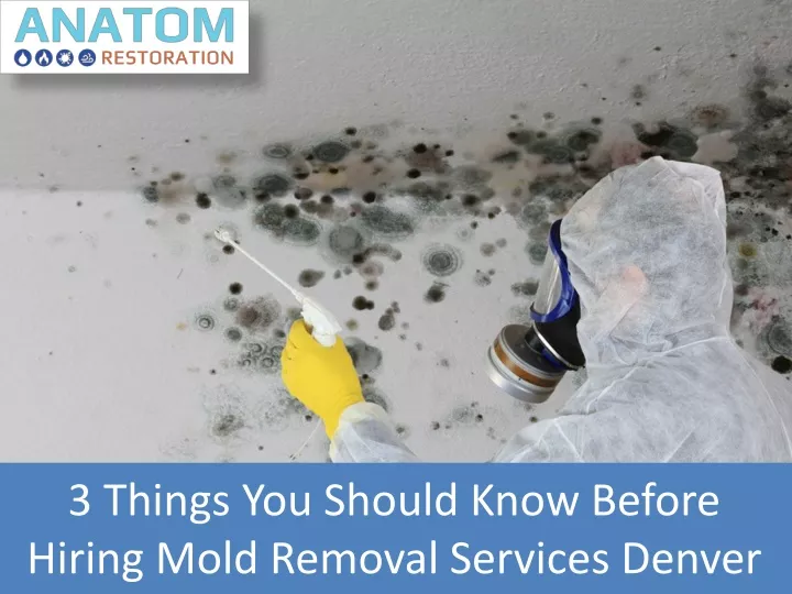 3 things you should know before hiring mold