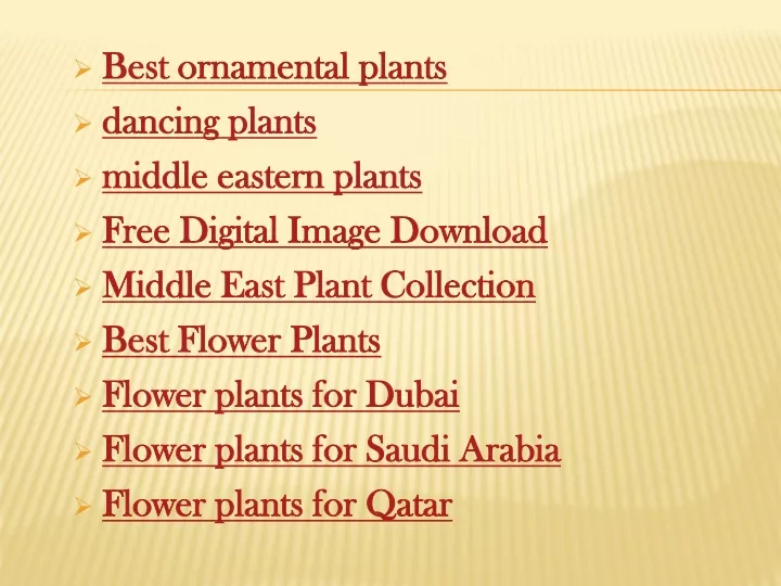 best ornamental plants dancing plants middle