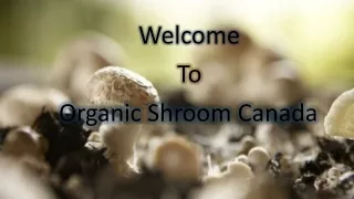 Buy shroom online Canada