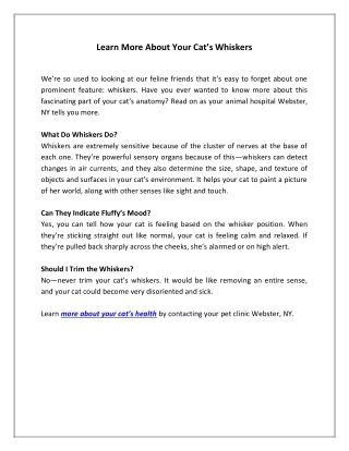learn more about your cat s whiskers