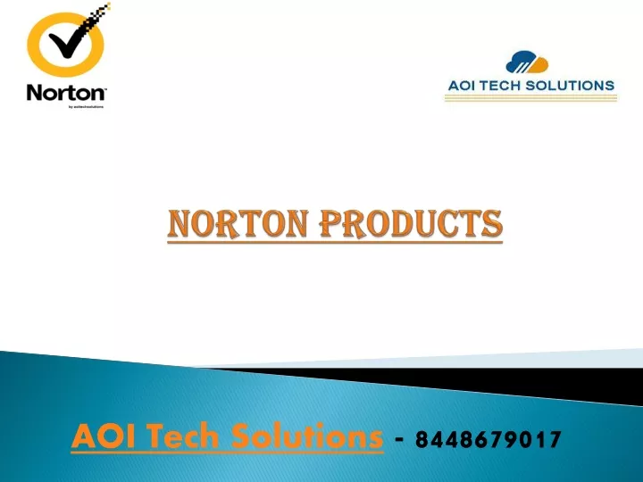 norton products