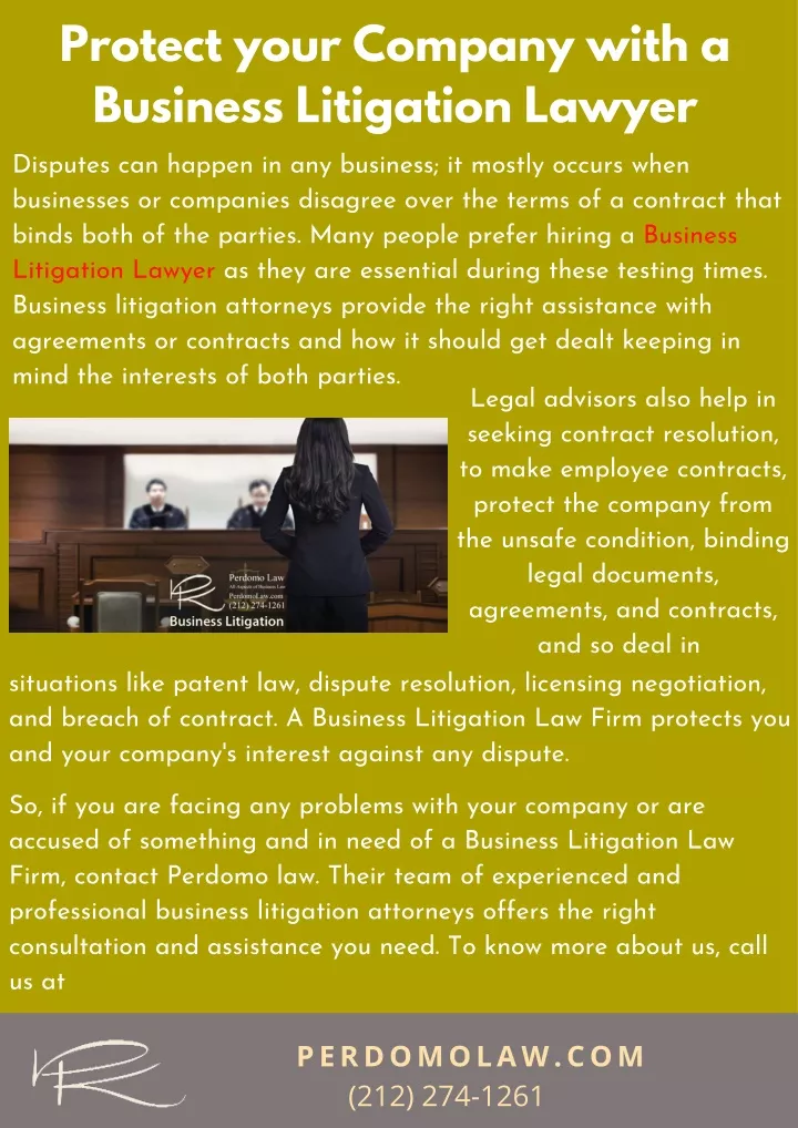 protect your company with a business litigation