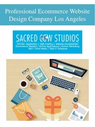 Professional Ecommerce Website Design Company Los Angeles