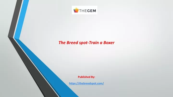 the breed spot train a boxer published by https thebreedspot com