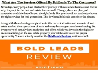 what are the services offered by boldleads