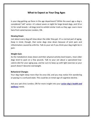 what to expect as your dog ages