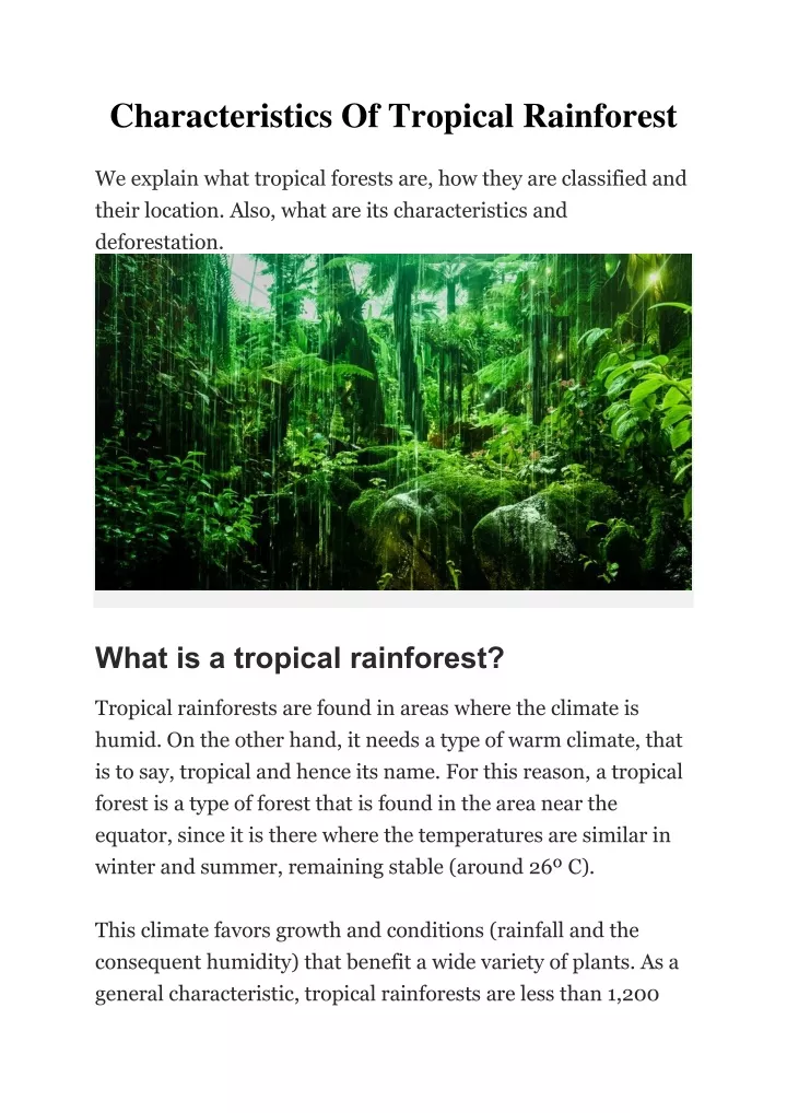 characteristics of tropical rainforest