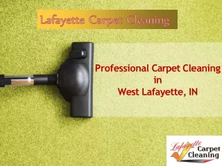 Get an Affordable Carpet Cleaning Service in West Lafayette